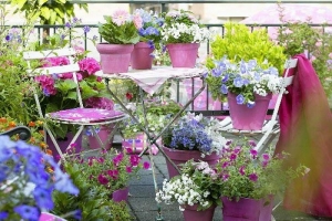 Balconul cu flori - sugestie